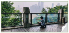 守园区，树礼仪